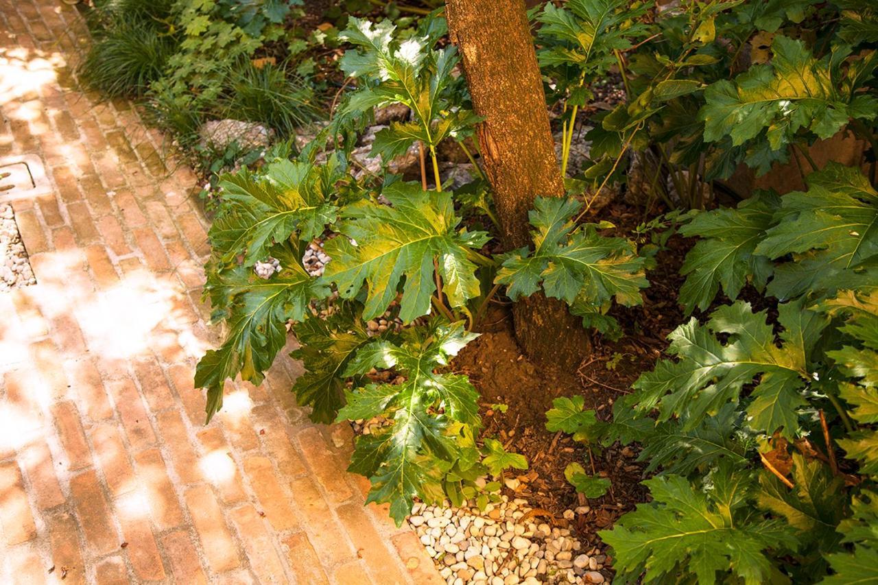 볼로냐 Urban Jungle 아파트 외부 사진